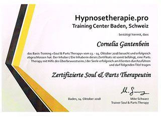 Anerkannte Hypnosetherapie in Wil.